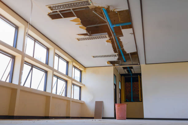 Best Water damage restoration near me  in Craig, AK