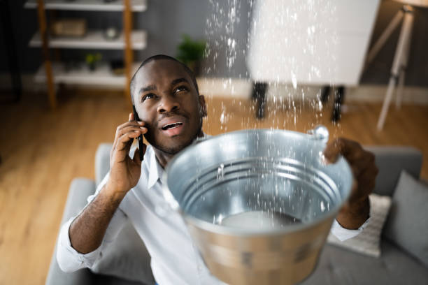 Best Local water damage restoration  in Craig, AK