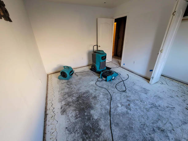 Best 24/7 water damage repair  in Craig, AK