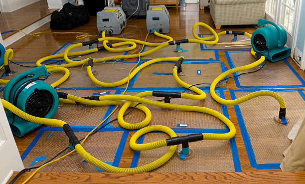 Water damage restoration process in Craig, AK