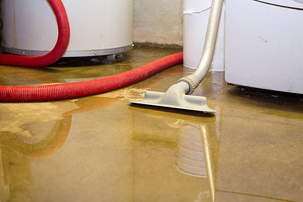 Best Water damage restoration near me  in Craig, AK